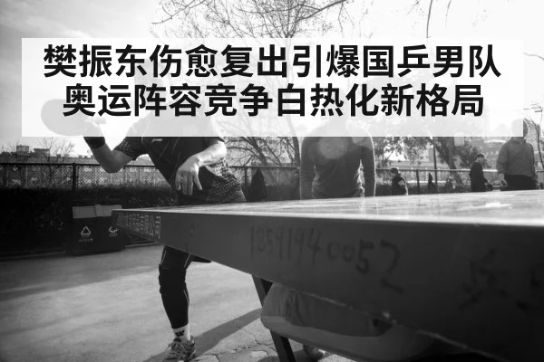 樊振东伤愈复出引爆国乒男队奥运阵容竞争白热化新格局
